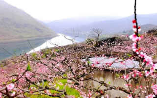 桃花岛，探寻桃花源记中的神秘岛屿