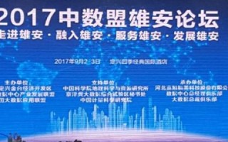 探索国网数据的广泛应用，智能化、高效化新篇章