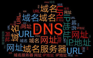 互联网上采用了一种字符型的标识—这就是域名