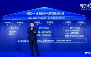 蓝冰互联，探索数字时代下的全新商业模式与机遇