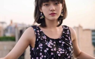 酷猫云官网，重塑数字存储新生态的云端先锋