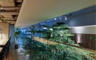 合租号，探索共享经济下的新型居住模式