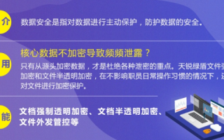 银盾网站—安全守护的实战体验与深度剖析