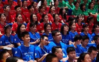 探索站元素网站空间的实战经历，从新手到高手的蜕变之旅