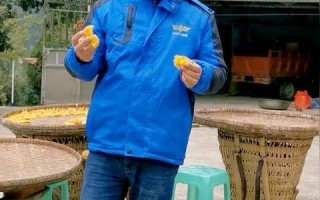 白手起家创业路，深度评测与实战策略全解析
