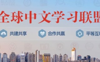 评测飞网中国的技术优势与市场前景，揭秘其引领未来的力量！