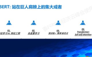 亚大互联，探索实践者的真实使用体验与深度评价