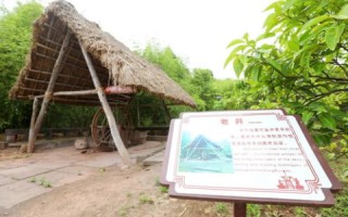 专访卓数互联用户心声，数字时代的智慧连接体验