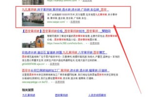 百度快照出现两个域名但可打开同一网站，原因解析与解决方案