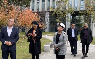壹网中国，深入探索其实际应用与用户体验