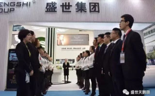 世信互联，让人信赖的互联网服务提供商