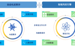 xehost平台深度解析，优势、挑战与用户体验综述