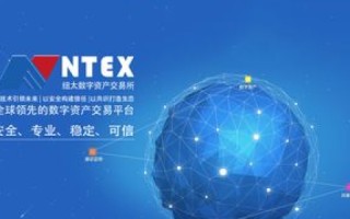鼎点网络，打造数字时代的桥梁，引领互联网创新未来