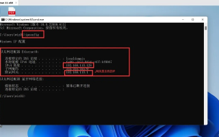 如何查看我的虚拟主机端口