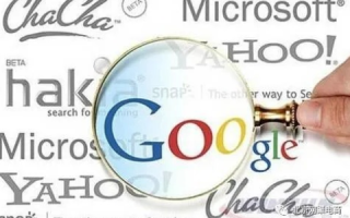 双域名指向同一网站对Google PR值的影响解析