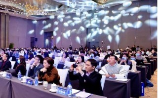 天虎网络评测，深度剖析互联网创业平台的机遇与挑战
