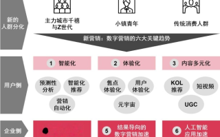 麦地网络官网，连接智能与创意，引领未来数字营销趋势
