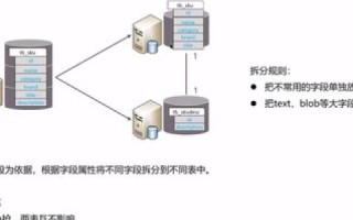 探索与分析，顶点主机的实战应用及优化