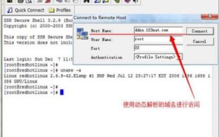 如何通过有com域名和IIS服务器，让动态IP外网访问