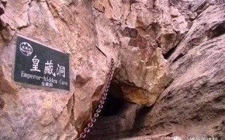 探索数据的奥秘，揭秘幽幽数据背后的世界
