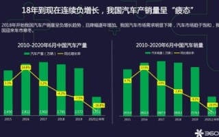 探究中国舜网，发展历程、优势及挑战的综合分析