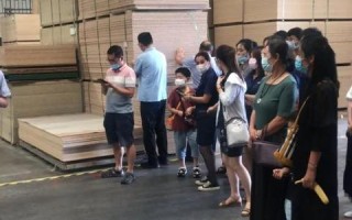 九大互联官网，重塑数字化时代的信息互动新格局