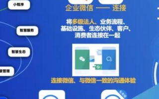 数字化转型的新篇章，云电商的崛起与未来展望