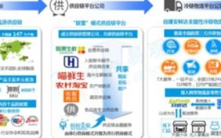 威望国际，用户真实体验与产品定位的深度解析