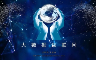 搜网络，探索信息海洋的奥秘