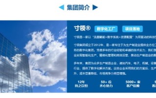 枫叶网络，沈阳专业网络服务引领创新变革
