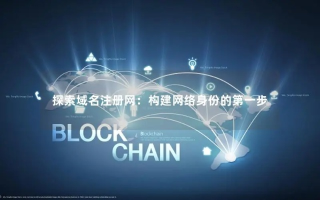 本站域名的奥秘，探索数字时代的身份与连接