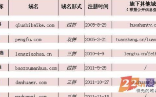 CN域名，拼音与中文的优劣比较