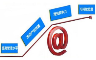 如何打造高效的顶点网络，揭示关键成功因素与实战策略