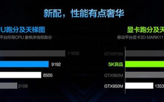 探究好鸥主机的稳定性，从用户反馈与专业评测中找寻答案