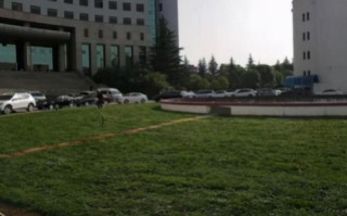 单域名、多域名与通配符，DNS管理的核心概念