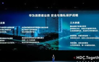 揭秘DNS009，数字新时代的隐秘守护者
