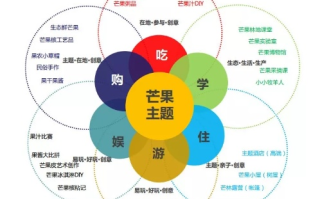深入剖析，芒果互联的稳定性与用户体验解析
