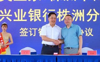 上海中南网络评测，解析互联网巨头下沉市场的战略布局与机遇