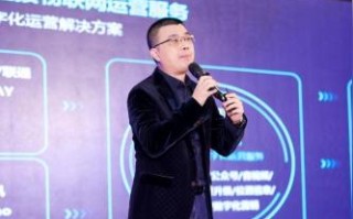 网景互联，探索数字化时代下的网络治理与创新发展