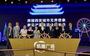 领航国际商盟的独立域名，解锁商业合作与品牌发展的新篇章