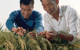 骑士科技，重塑未来生活的力量