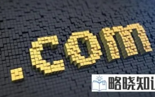网络域名的奥秘，为何大部分以.com结尾