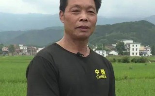 专题页面跳转域名的全面指南，从策划到实施