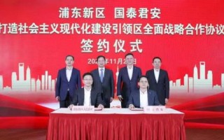 寰宇IDC，定制化数据中心服务引领行业变革的先行者