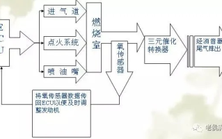 护卫神，稳定的守护者，还是隐患的催化剂？