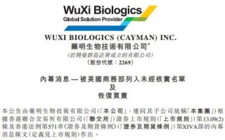 域名转让背后的法律风险与对您的潜在影响