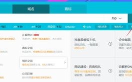 如何免费获取二级域名并添加特定后缀XXX