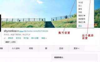 为什么我的新浪微博地址下面是别人的博客地址？貌似个性域名不能改