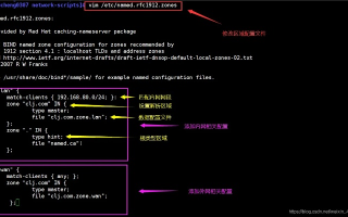 域名无法访问或DNS解析失败，揭秘传奇私服背后的技术挑战与解决方案