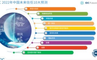 IDC品牌城实战经验分享，从第一天到成功的全过程揭秘
